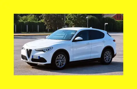 Annonce ALFA ROMEO STELVIO Diesel 2020 d'occasion 