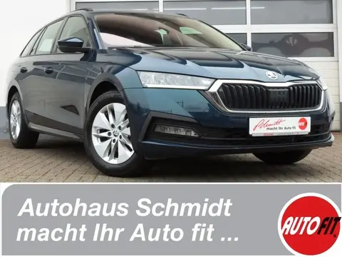 Used SKODA OCTAVIA Petrol 2023 Ad 