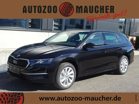 Used SKODA OCTAVIA Diesel 2024 Ad 