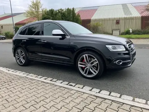 Annonce AUDI SQ5 Diesel 2016 d'occasion 