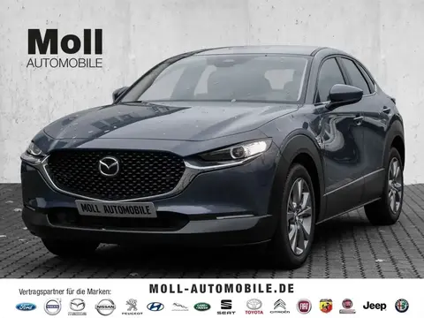 Annonce MAZDA CX-30 Essence 2023 d'occasion 