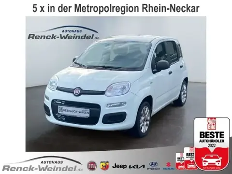 Annonce FIAT PANDA Essence 2017 d'occasion 