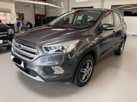 Annonce FORD KUGA Essence 2019 d'occasion 