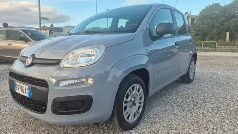 Annonce FIAT PANDA Essence 2018 d'occasion 