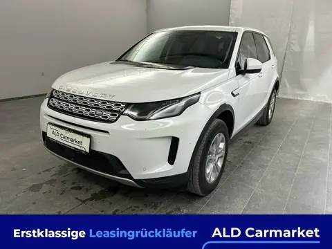 Used LAND ROVER DISCOVERY Hybrid 2021 Ad 