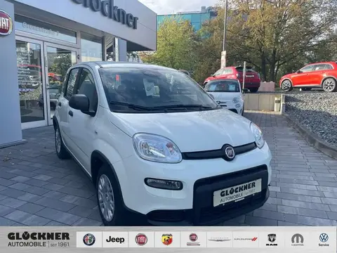 Used FIAT PANDA Petrol 2024 Ad 