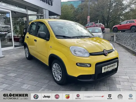 Used FIAT PANDA Petrol 2024 Ad 