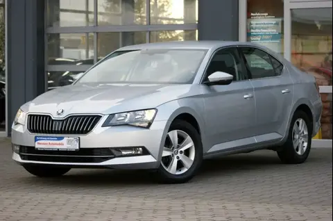 Used SKODA SUPERB Diesel 2018 Ad 