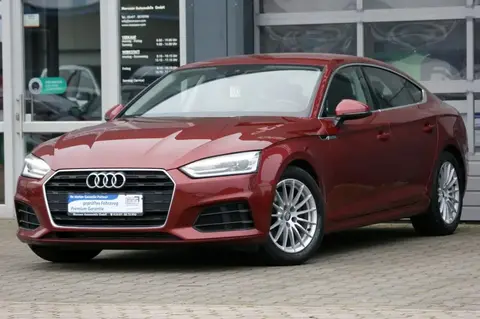 Used AUDI A5 Petrol 2019 Ad 