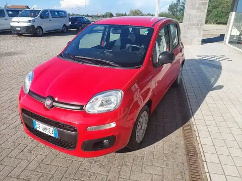 Used FIAT PANDA Hybrid 2021 Ad 