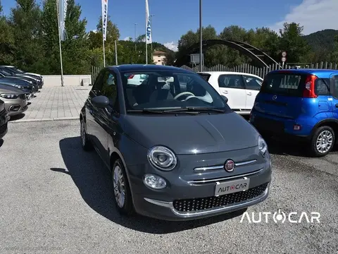 Used FIAT 500 Petrol 2021 Ad 