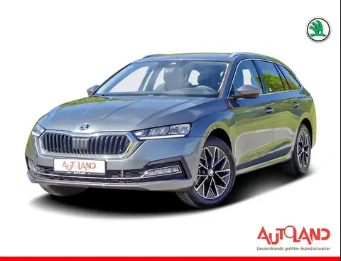 Annonce SKODA OCTAVIA Essence 2024 d'occasion 