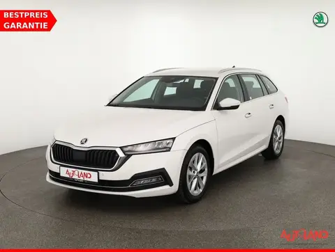 Used SKODA OCTAVIA Diesel 2021 Ad 