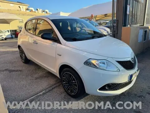 Used LANCIA YPSILON LPG 2019 Ad 