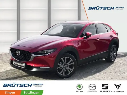 Used MAZDA CX-30 Petrol 2021 Ad Germany