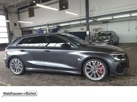 Annonce AUDI RS3 Essence 2023 d'occasion 