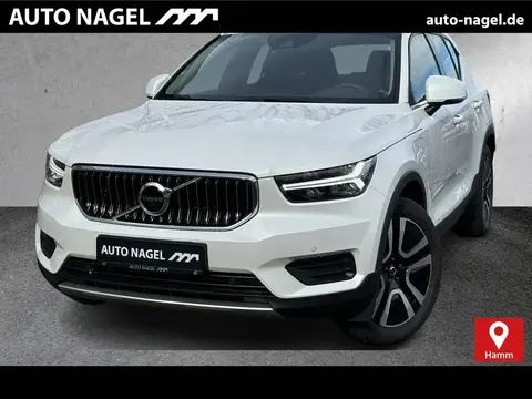 Used VOLVO XC40 Hybrid 2022 Ad 