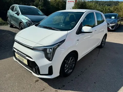 Annonce KIA PICANTO Essence 2024 d'occasion 