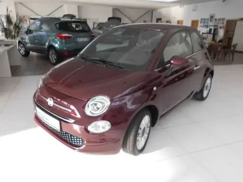 Used FIAT 500 Petrol 2019 Ad 