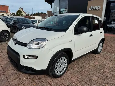 Annonce FIAT PANDA Essence 2024 d'occasion 