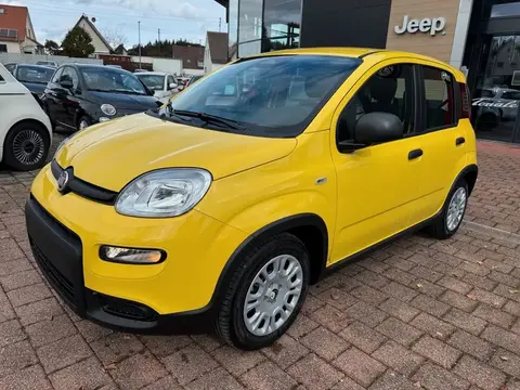 Used FIAT PANDA Petrol 2024 Ad 