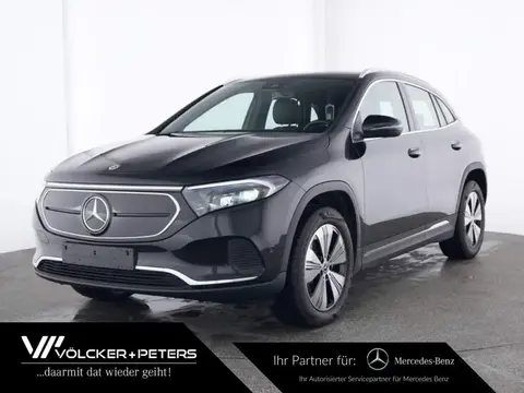 Used MERCEDES-BENZ EQA Not specified 2023 Ad 