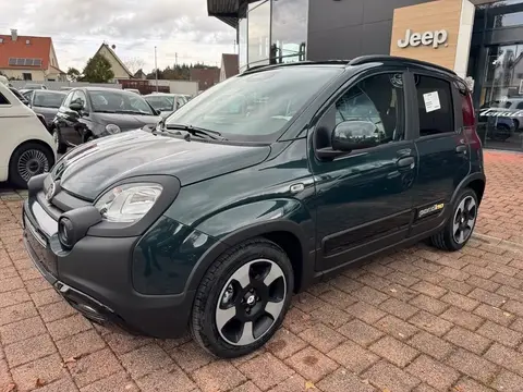 Used FIAT PANDA Hybrid 2024 Ad 