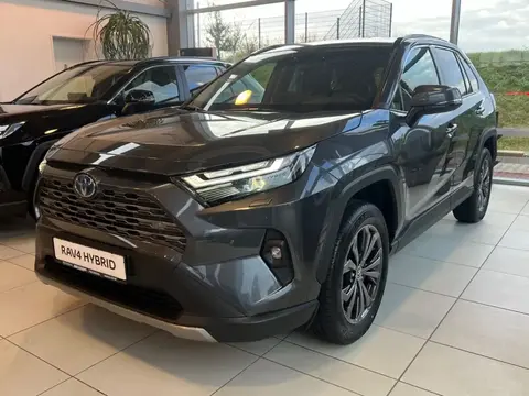 Annonce TOYOTA RAV4 Hybride 2024 d'occasion 