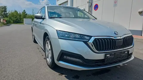 Annonce SKODA OCTAVIA Diesel 2020 d'occasion 