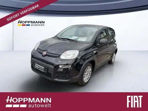 Used FIAT PANDA Petrol 2024 Ad 