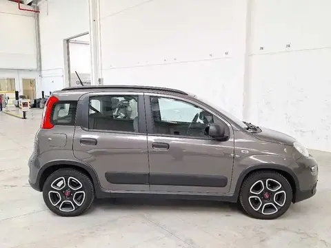 Used FIAT PANDA Hybrid 2021 Ad 