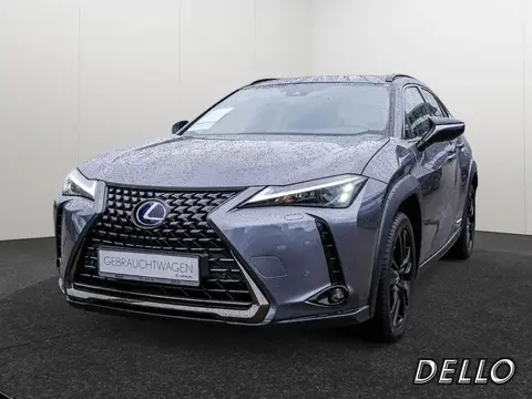 Used LEXUS UX Hybrid 2021 Ad Germany