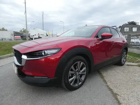 Used MAZDA CX-3 Hybrid 2021 Ad 