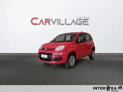 Annonce FIAT PANDA  2021 d'occasion 