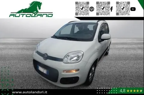 Used FIAT PANDA  2019 Ad 