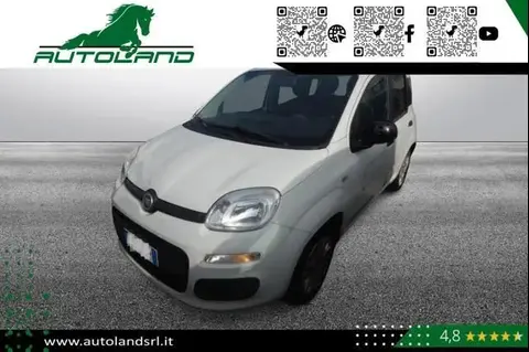 Used FIAT PANDA LPG 2017 Ad 