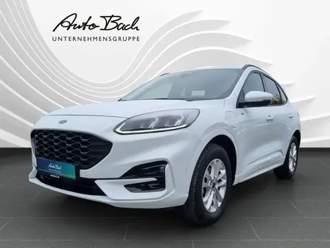 Annonce FORD KUGA Hybride 2022 d'occasion 