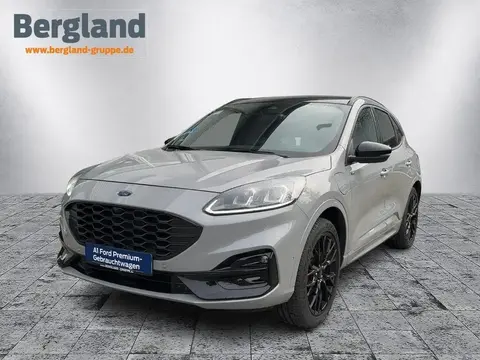 Used FORD KUGA Hybrid 2023 Ad 