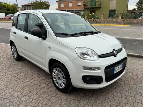 Used FIAT PANDA Petrol 2019 Ad 