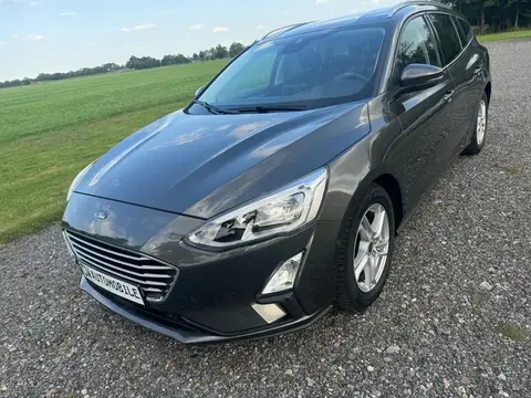 Used FORD FOCUS Petrol 2019 Ad 