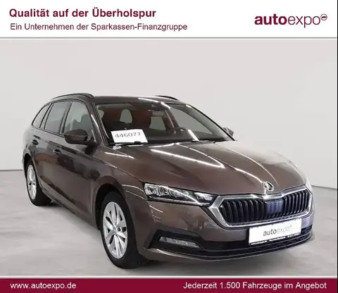 Used SKODA OCTAVIA Diesel 2020 Ad 