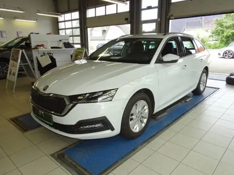 Annonce SKODA OCTAVIA Diesel 2021 d'occasion 