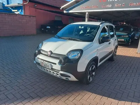 Annonce FIAT PANDA Hybride 2020 d'occasion 