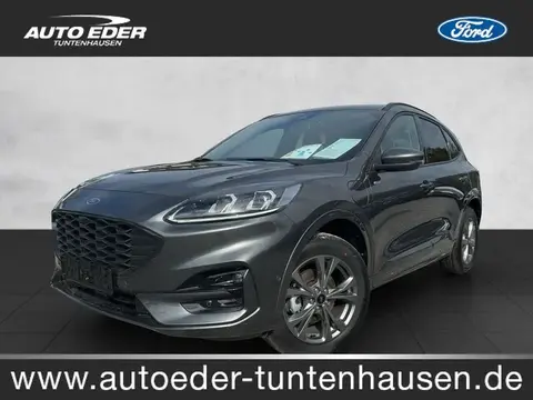 Annonce FORD KUGA Hybride 2024 d'occasion 