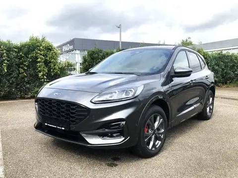 Annonce FORD KUGA Hybride 2024 d'occasion 