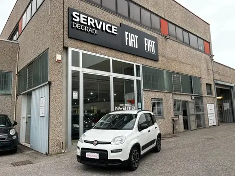 Annonce FIAT PANDA Hybride 2022 d'occasion 