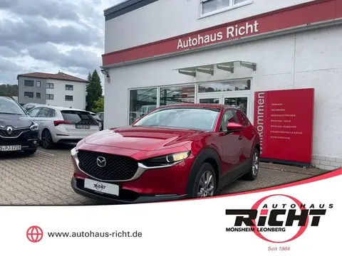 Annonce MAZDA CX-30 Essence 2021 d'occasion 