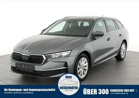 Used SKODA OCTAVIA Petrol 2024 Ad 