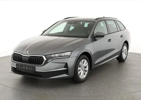 Annonce SKODA OCTAVIA Essence 2024 d'occasion 