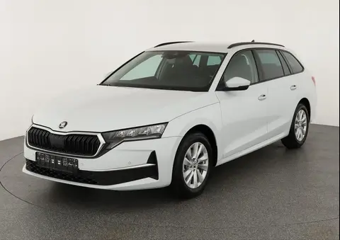 Annonce SKODA OCTAVIA Essence 2024 d'occasion 